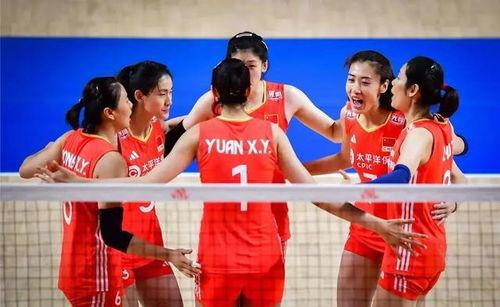 中国女排队员肩颈按摩〖奥运会羽毛球单打时,运动员脖子上带的项圈是什么 有什么用途 〗
