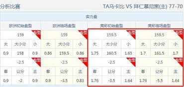 欧篮联赛程比分排名「欧洲国家篮球联赛排名」