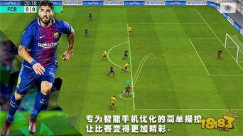 实况足球快反增能教练〖人的极限反应速度是多少 〗