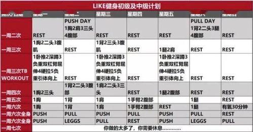 单人篮球基础训练计划书,求一套篮球基础训练计划