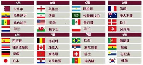 世界杯总决赛主队名单表,我要知道世界杯对阵表