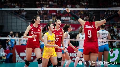 中国女排里约奥运会队员名字,里约奥运会女排名单