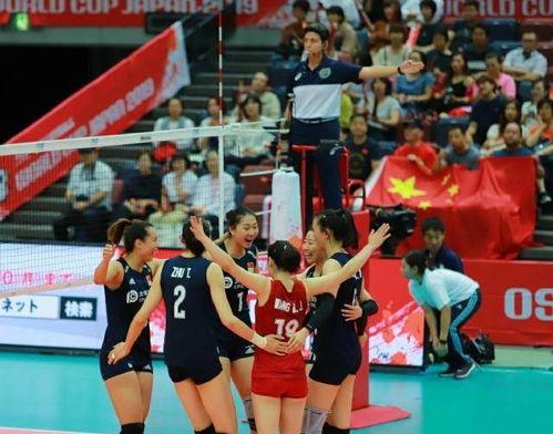 女排队员号码及姓名「中国女排奥运名单对应号码」