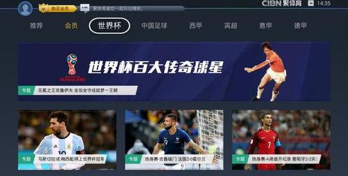 易容世界杯总决赛〖大力神杯是用什么材料做的有多重 〗