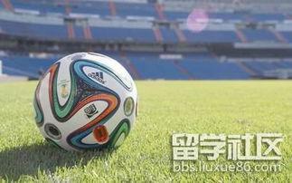 历届世界杯足球队名称大全〖西班牙历届世界杯战绩〗