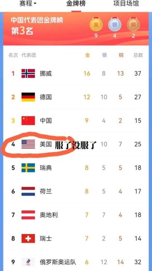 冬奥会金牌榜怎么做视频冬奥会各国总金牌榜