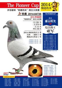 开创赛鸽2018年冠军〖天津开创者国际赛鸽宏图吉米是谁 〗