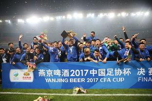 2018足协杯抽签结果出炉,哪支球队最有可能夺冠 (国安2018年足协杯入场)
