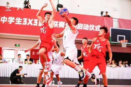 全国初中生篮球联赛*排名,中国初中篮球联赛怎么参加