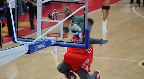 介绍下NBA各个队伍的吉祥物和特点 「火箭队队伍造型图解大全」