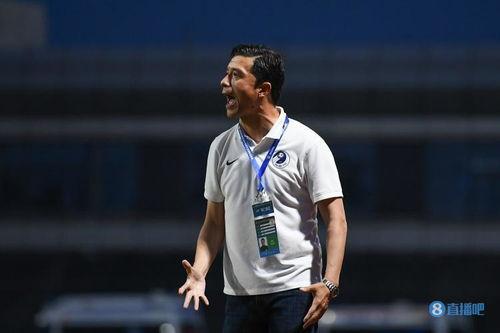 谢晖是混血儿吗「谢晖中超教练简历介绍」