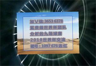 历届世界杯决赛比分是什么 (2044年世界杯决赛时间)