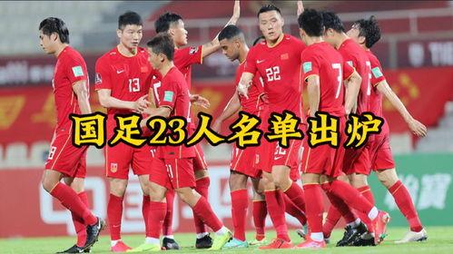 中国队进世界杯是哪一年「中国进入世界杯足球队名单」