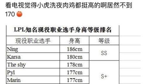 我的家乡宾阳英语作文「宾阳篮球队员身高排名」