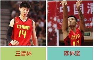 cba男篮各队队员名单cba华南虎队员名单