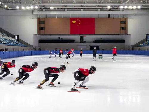 黑龙江短道速滑运动员张莹张莹是谁 