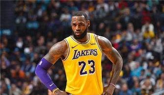 詹姆斯带湖人打进季后赛,NBA*们,分别带队打了几次季后赛?