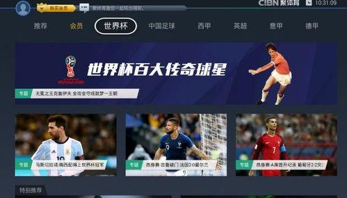 世界杯总决赛推演〖巴西的支持率有多少 〗