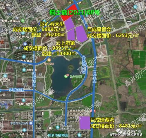 垫江羽毛球比赛时间表今天,怎样开同学会