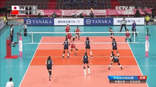 东京奥运中国女排赛程安排〖中国女排奥运会赛程表 〗