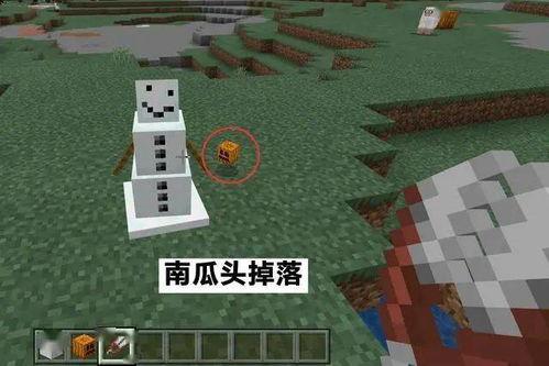 我的世界怎么清除美西螈 「我的世界梅西原图片」