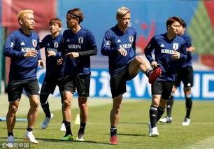 世界杯日本队6号球员名单,2002年世界杯日本队大名单