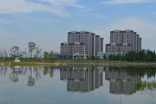 芜湖市三山区龙湖街道杨姓是从什么地方迁徙而来的 「2018年于都县龙舟赛」