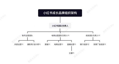 火箭队财务薪资结构图〖伤病球员特例和球队薪资的关系〗