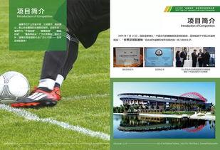 锦标赛足球赛程结果,英锦标赛赛程赛果