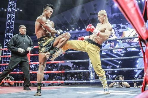 中国选手在UFC的格斗风云——谁才是拳台上的龙？