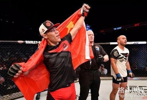 李景亮UFC身价，揭秘中国格斗硬汉的钱袋子