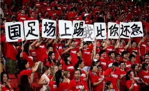 国足外援新动态：最新爆料让你惊掉下巴！