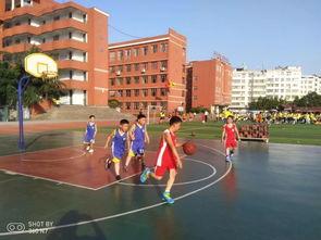 中学篮球社团教学计划「篮球社团训练活动计划」