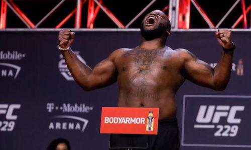 UFC重量级对决刘易斯：铁锤之战，谁才是真正的野兽王？