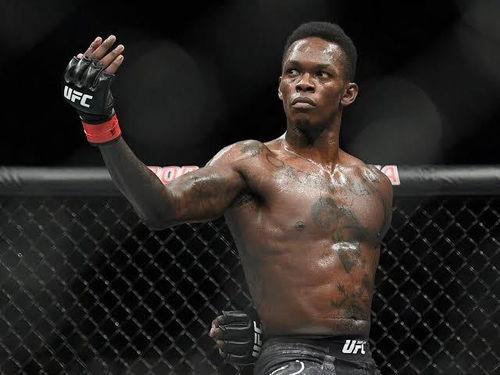 中国有多少名UFC选手？揭秘中国搏击圈的铁血战士们！