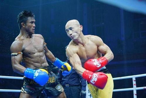 胡宗耀UFC轻重量级比赛盘点：拳风来袭，谁能hold住？