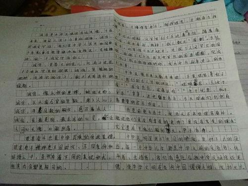 我心中的文化名人作文「70周年国庆阅兵火箭队」
