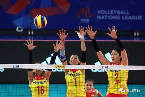中国女排队员介绍信息，带你飞速了解她们的“排球家族”大本营！