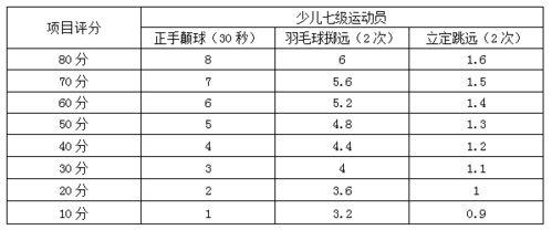 国家运动员级别羽毛球,羽毛球运动员等级标准