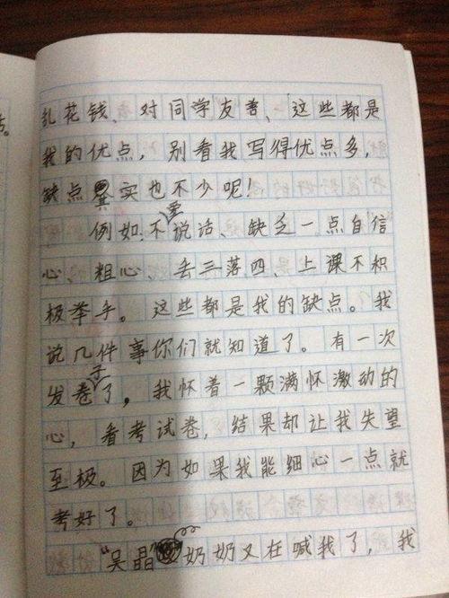 国家羽毛球陈娇,四年级自我介绍作文
