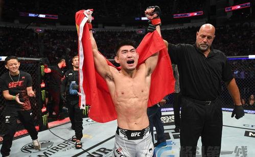 UFC重量级技术最全面的选手，真的是谁？