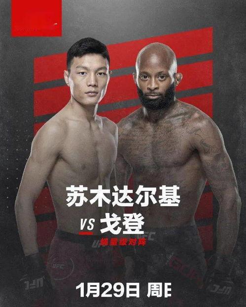 中国选手李某在UFC的拼搏之路——拳台上闯出一片天