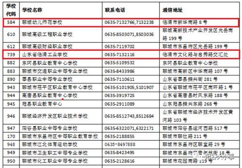 临清一中篮球队后卫队是谁？揭秘球场上的“小霸王”们！
