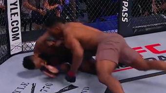 UFC拳击大佬们，谁才是笼中最强王者？