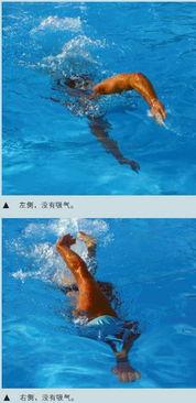 自由泳呼吸技巧与训练方法(怎么样练自由泳呼吸方法)