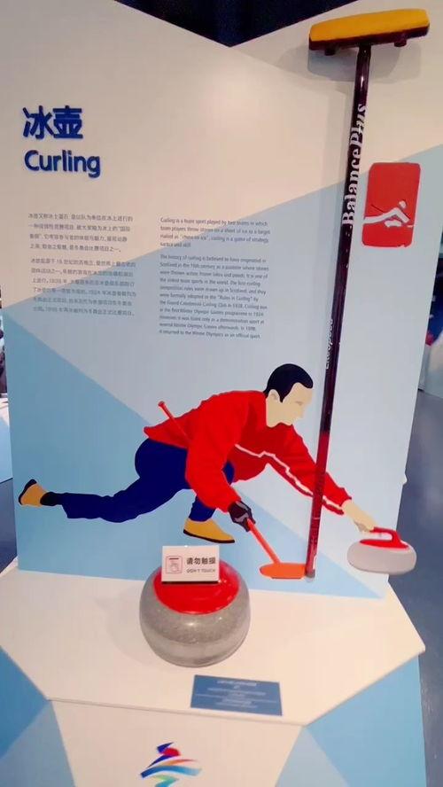 冬奥会故宫活动项目介绍,冬奥会有哪些运动项目
