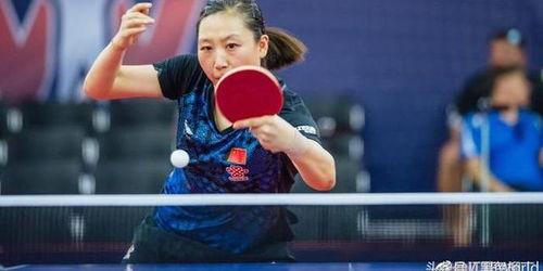 日本中国乒乓球选手大揭秘！谁才是真正的“球坛老司机”？