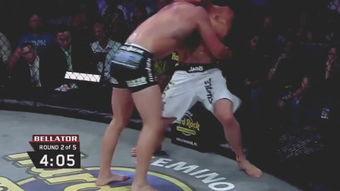 UFC无限制格斗次重量级：拳拳到肉，笑点与血点齐飞