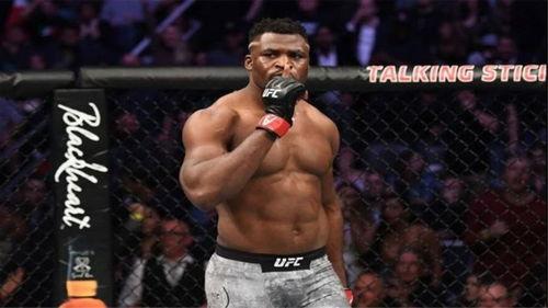 UFC梅干诺的队友比赛大揭秘：格斗场上的“队魂”们都干了啥？