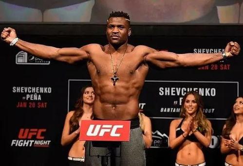 UFC重量级纳干诺集锦：猛龙出击，拳拳到肉的炸裂操作！